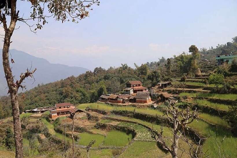 Pokhara: Annapurna Day Hike with Panoramic Views - Key points to know before booking