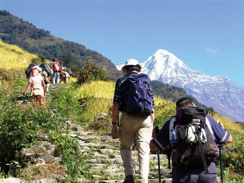 Pokhara: Annapurna Day Hike with Panoramic Views - Why this Pokhara day hike works so well