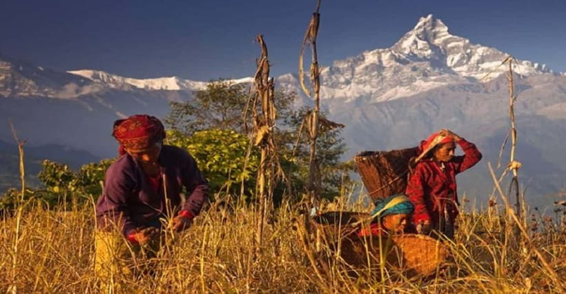 Pokhara: Annapurna Day Hike with Panoramic Views - Dhampus, where the walk becomes cultural