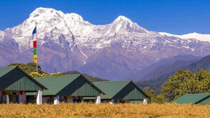 Pokhara: Annapurna Foothills Day Hike with Transfers - Kande to Australian Camp: steps, forest, and the first big view
