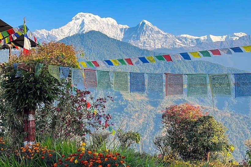 Pokhara: Day Hiking to Australian Base Camp with Lunch - Descending through Phedi