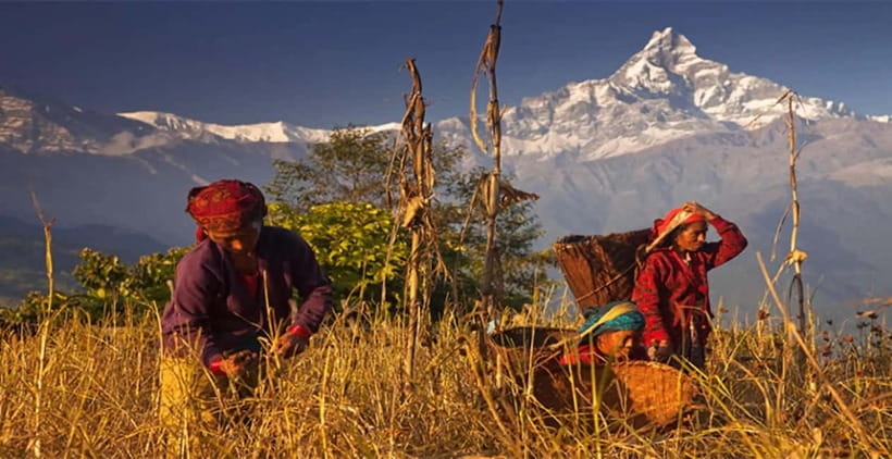 Pokhara: Day Hiking to Australian Base Camp with Lunch - Practical packing advice for the route