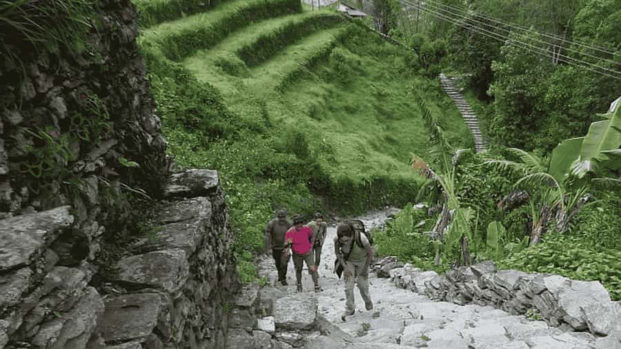 Pokhara: Guided Day Hike From Dampus To Australian Base Camp - Why this short hike works so well from Pokhara