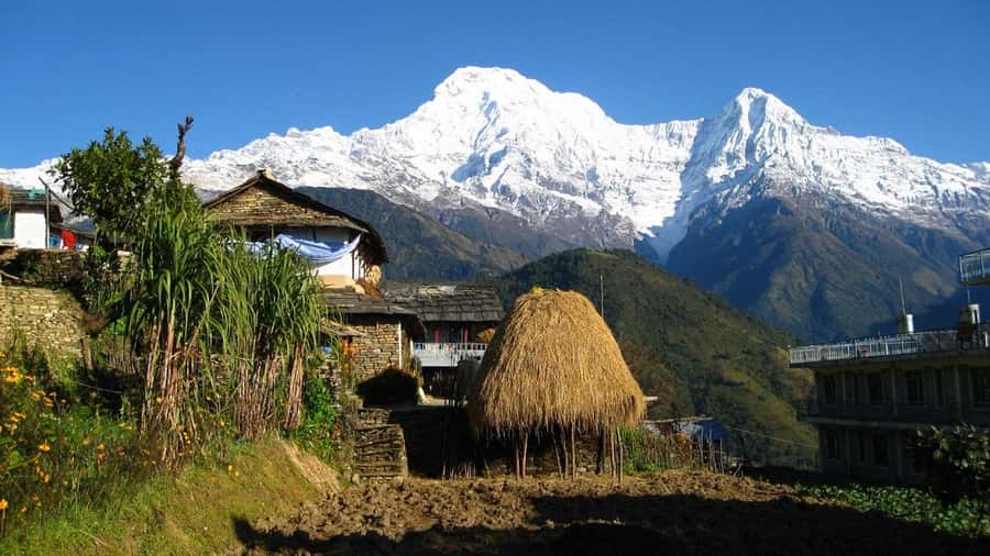 Pokhara: Guided Day Hike From Dampus To Australian Base Camp - Who should book this hike?