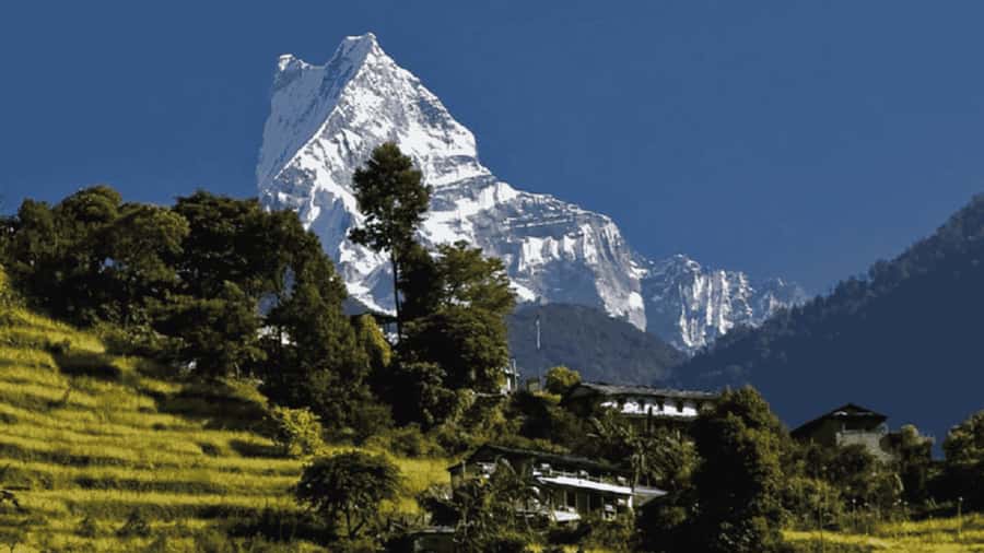 Pokhara: Guided Day Hike From Dampus To Australian Base Camp - Leaving Pokhara for Dhampus