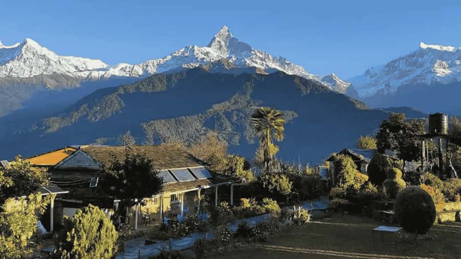 Pokhara: Guided Day Hike From Dampus To Australian Base Camp - The walk through fields and rhododendron woods
