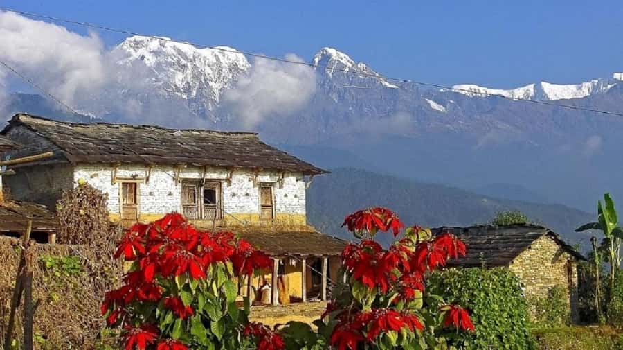 Pokhara: Guided Day Hike From Dampus To Australian Base Camp - What the guides add to the experience