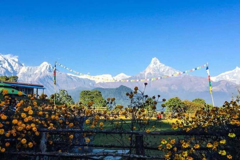 Pokhara: Poon Hill Trek - Day 2: Ulleri to Ghorepani through rhododendron forest