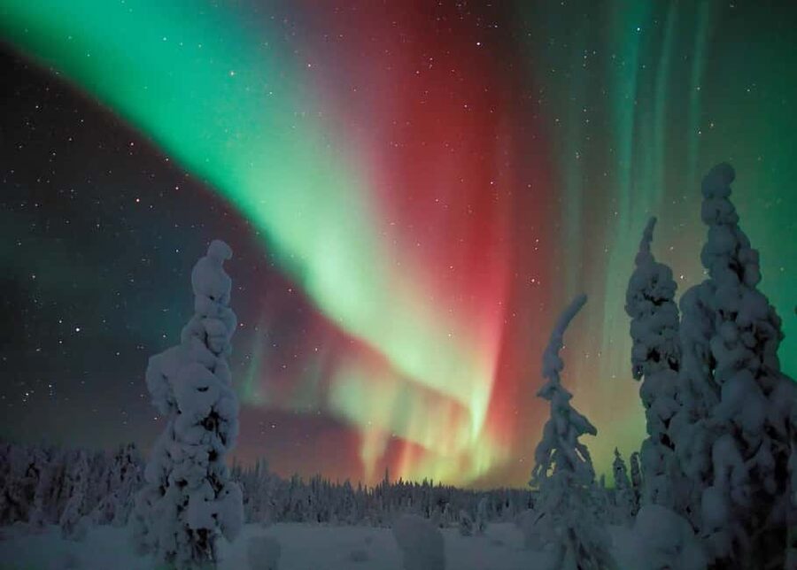 Polar Night Snowshoe Trek - Key points to know before booking