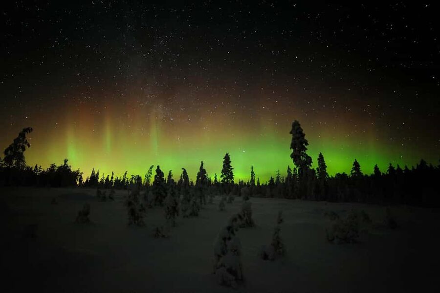 Polar Night Snowshoe Trek - Snowshoeing beyond the marked path
