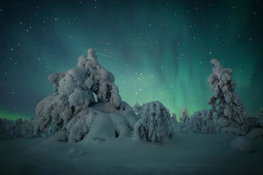 Polar Night Snowshoe Trek - Warm drinks, snacks, and the human side of the walk