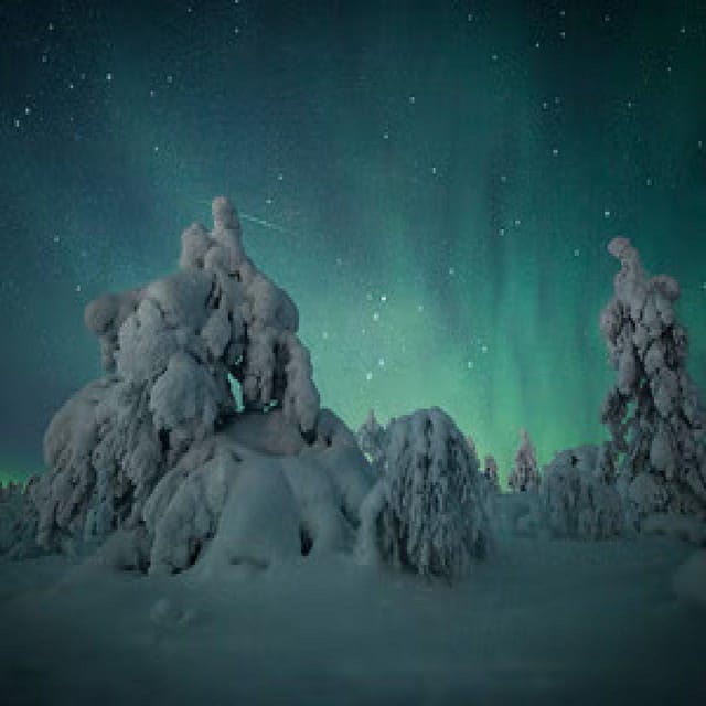 Polar Night Snowshoe Trek - Practical planning for the evening