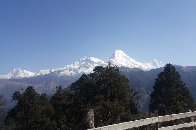 Poon hill Trek 3 days - Group size, guides, and the walking pace