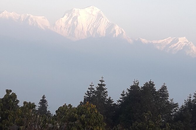 Poon hill Trek 3 days - Day one: transport, Ulleri, and the long stone staircase