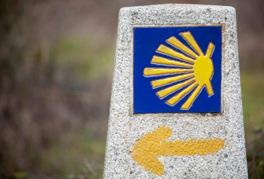 Porto: E-Bike Rental For The Camino De Santiago - Should you book the Porto Camino e-bike rental?