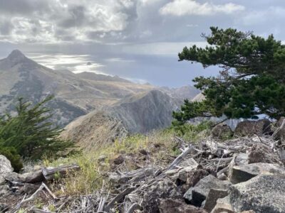 Porto Santo: Pico Branco and Terra Cha Guided Mountain Hike