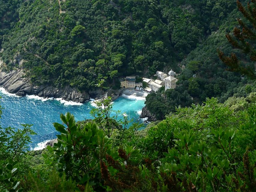 Portofino Park Trekking- Discover San Fruttuoso Bay - The panoramic rest point