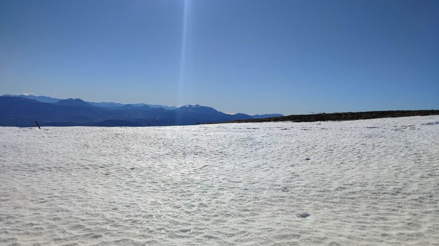 Potenza: Guided Mountain Walking Tour with Snowshoes - Through the snowy beech forest