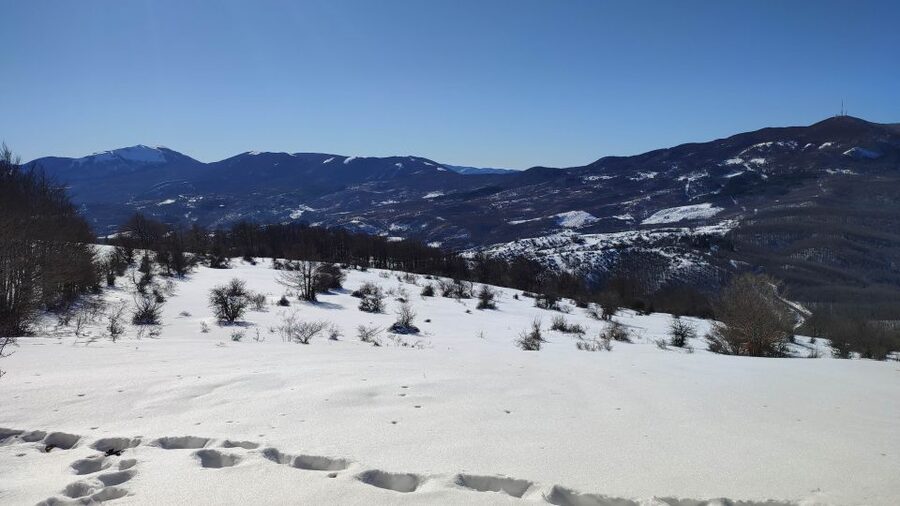 Potenza: Guided Mountain Walking Tour with Snowshoes - The descent and return to Sellata
