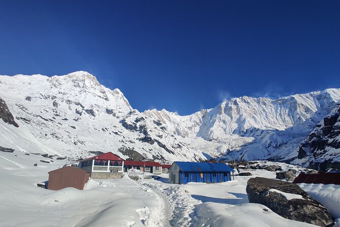 Private 12-Day All Inclusive Guided Annapurna Base Camp Trek Tour - Day 4: Terraces and forest on the way to Chhomrong