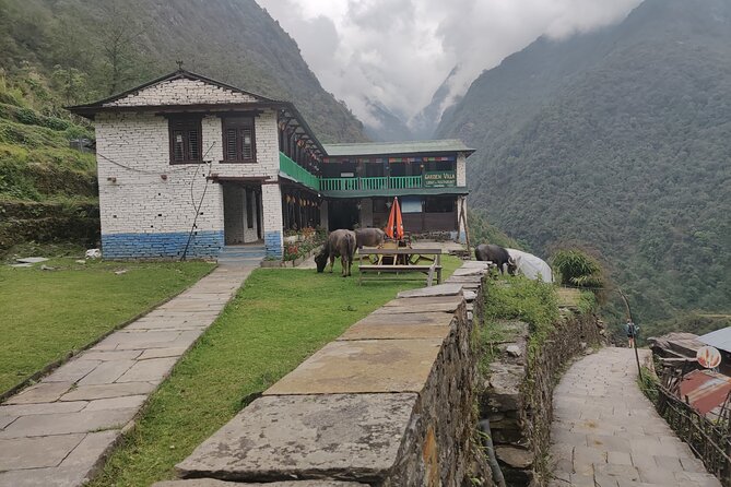 Private 12-Day All Inclusive Guided Annapurna Base Camp Trek Tour - Day 6: Waterfalls and the climb toward Deurali