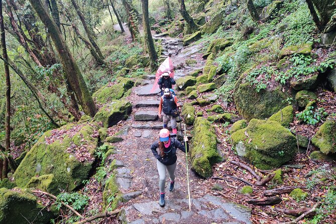Private 12-Day All Inclusive Guided Annapurna Base Camp Trek Tour - Day 7: Machhapuchhre Base Camp and Annapurna Base Camp