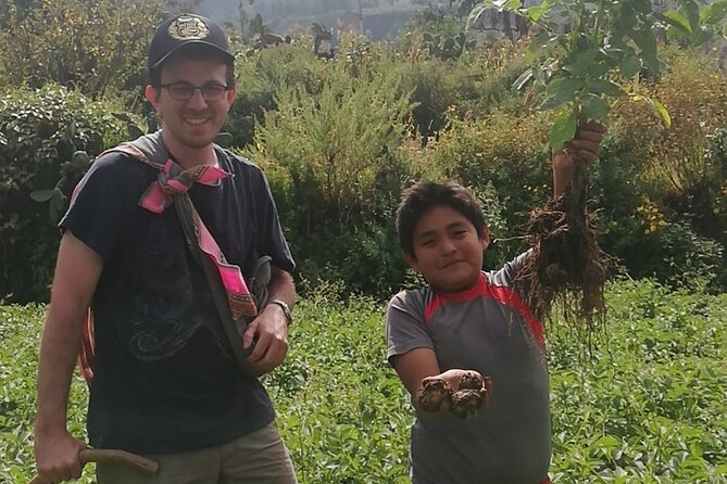 Private 3 Day Colca Canyon Trekking tour (superior Service) - Chivay, volcanoes, and vicuñas on the return