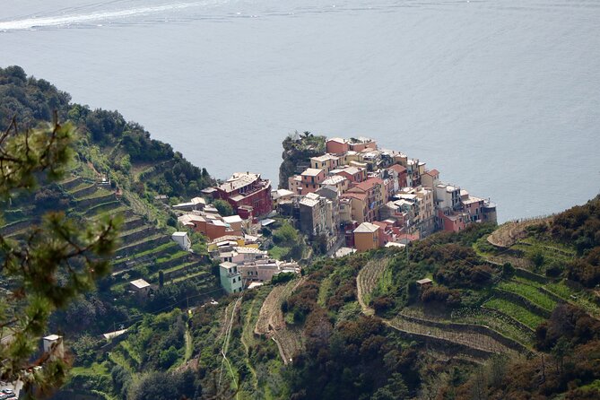 Private Cinque Terre Trek & Tour - Descending into Manarola after the main hike