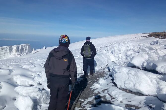 Private Day Tour and Hike in Kilimanjaro National Park - What this Kilimanjaro day hike actually offers