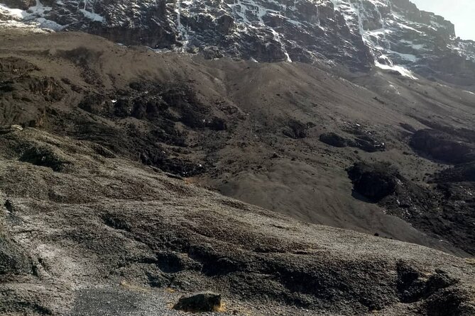 Private Day Tour and Hike in Kilimanjaro National Park - Is $260 per person a fair price?