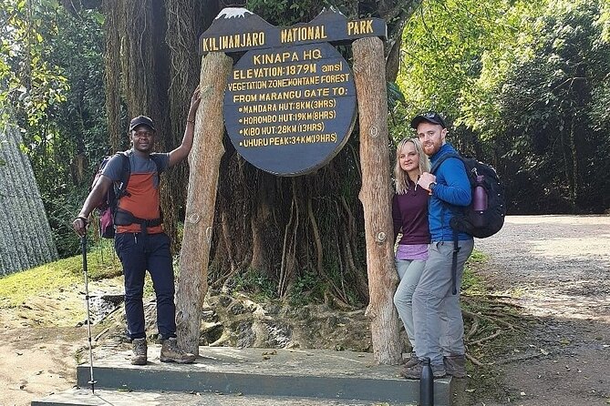 Private Day Tour Kilimanjaro Hike - Walking the lower Marangu Route through rainforest