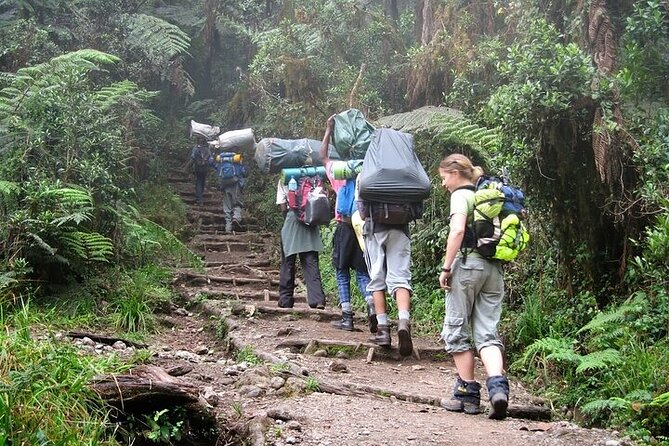 Private Day Tour Kilimanjaro Hike - Descending to Marangu Gate