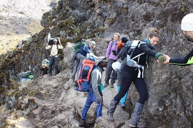 Private Day Tour Kilimanjaro Hike - Reaching Mandara Huts, the first camp