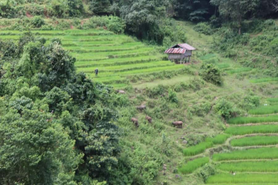 Private Doi Inthanon, Nature Trail, Wat Phra That Doi Kham - Lunch, water, and the practical rhythm of the day
