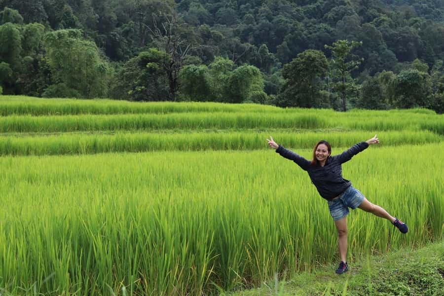 Private Doi Inthanon With Trekking Pha Dok Siew Nature Trail - Key points at a glance