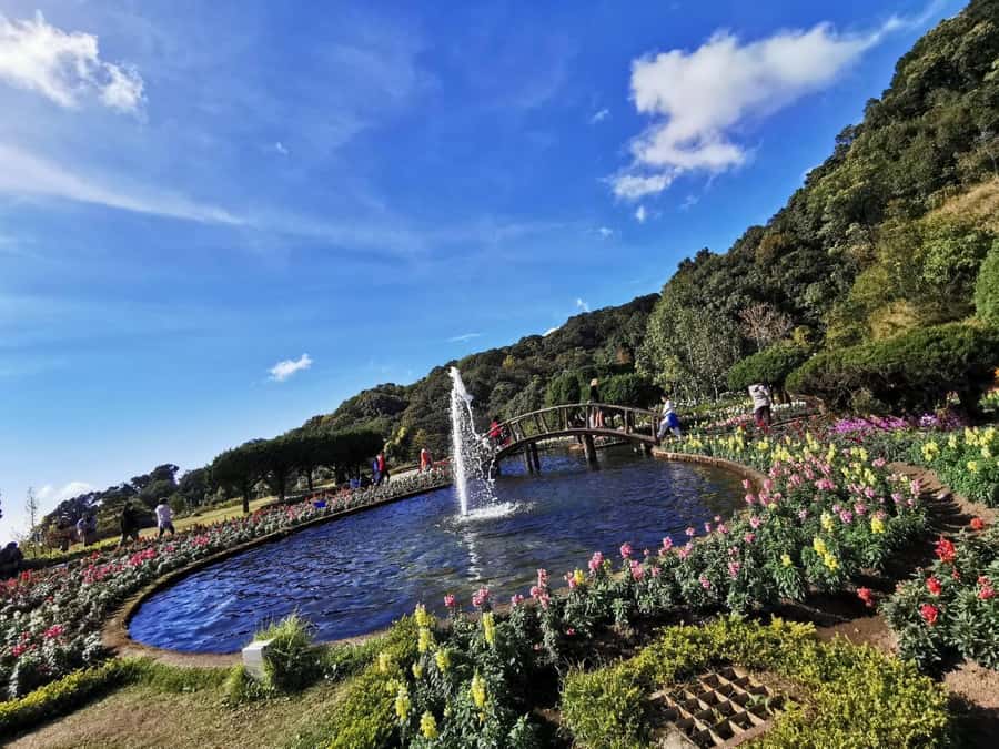 Private Doi Inthanon With Trekking Pha Dok Siew Nature Trail - Why Doi Inthanon makes a good full-day trip