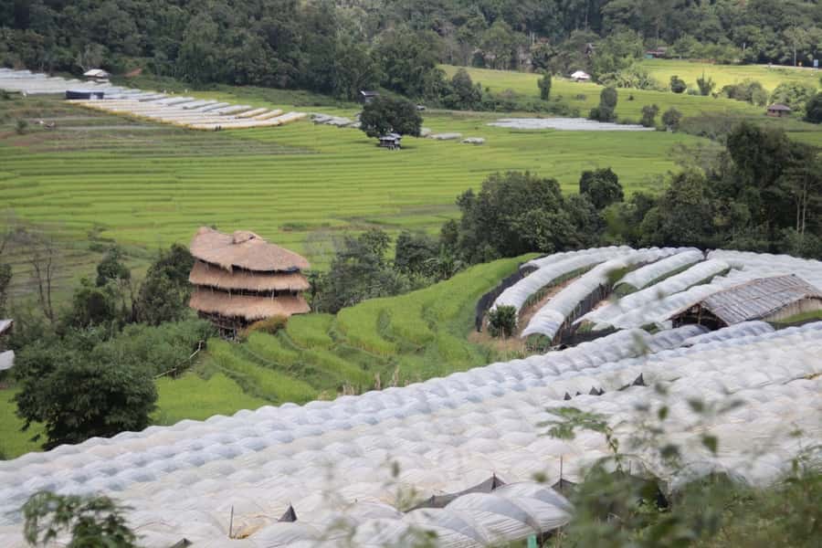 Private Doi Inthanon With Trekking Pha Dok Siew Nature Trail - Rak Jung Waterfall and the water-level question