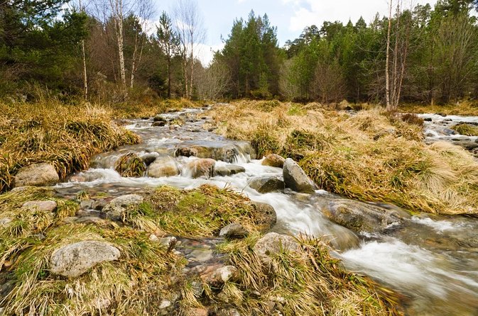Private Guided Mountain Walking Experience in the Cairngorms - Key points to know before you book