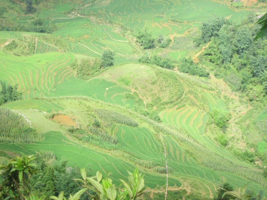Private Hoang Lien National Park & Tribal Village Trek - A 10-kilometer route through bamboo forest