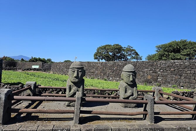 Private Jeju Geopark Gotjawal and Oreum Trekking Experience - Osulloc’s green tea fields