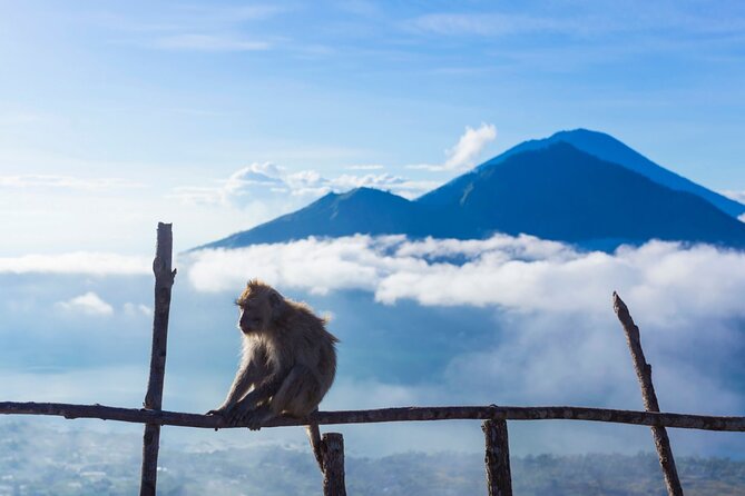 Private Mount Batur Sunrise Trekking Tour - Reaching the summit for the sunrise