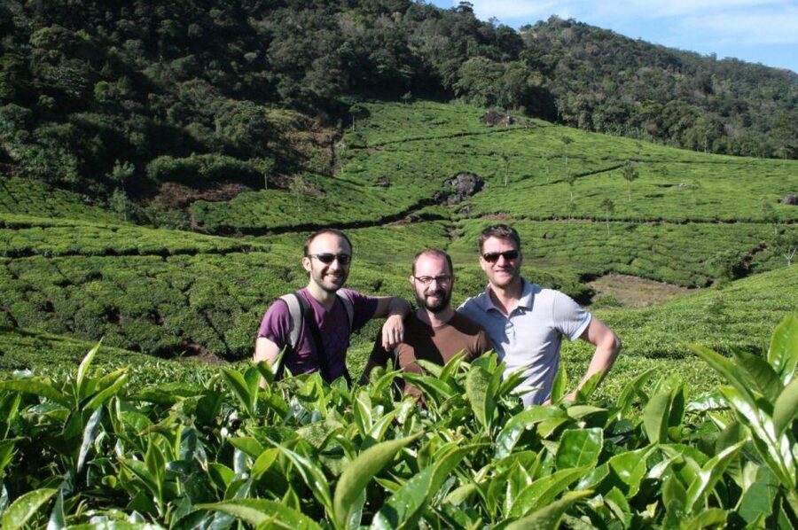 Private Munnar Tea Trek - Why this tea trek feels different from a viewpoint stop