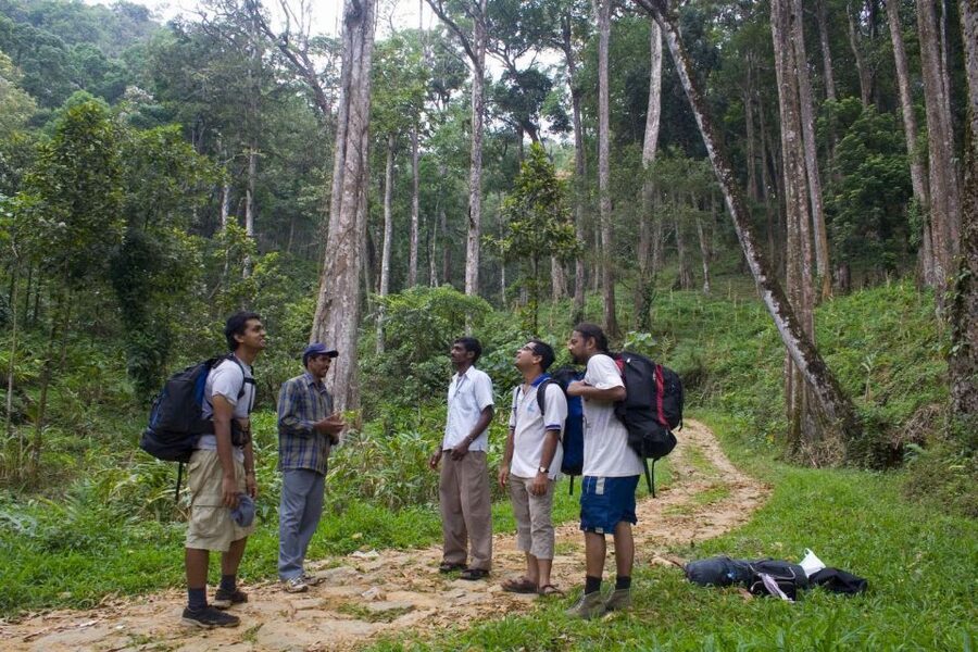 Private Munnar Tea Trek - What the guides add to the day