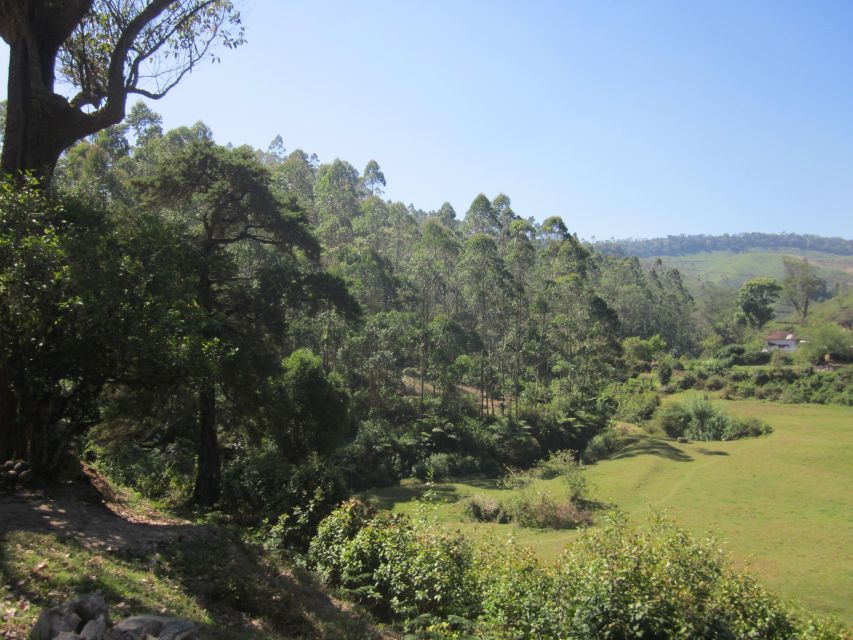 Private Munnar Tea Trek - Snacks, water, and what to bring