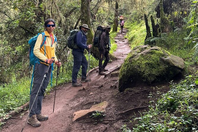 Private One-Day Trek to Mount Kilimanjaro - Who will enjoy this most
