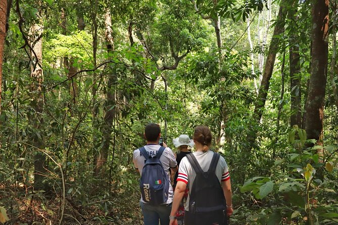 Private Tour Doi Inthanon And Trekking Nature Trail, Chiang Mai - The Hmong Market and Royal Project Goods