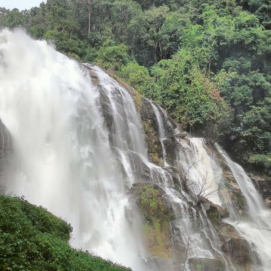 Private Tour Doi Inthanon, Trekking Kew Mae Pan Nature Trail - Thailand’s highest point at 2,565 meters