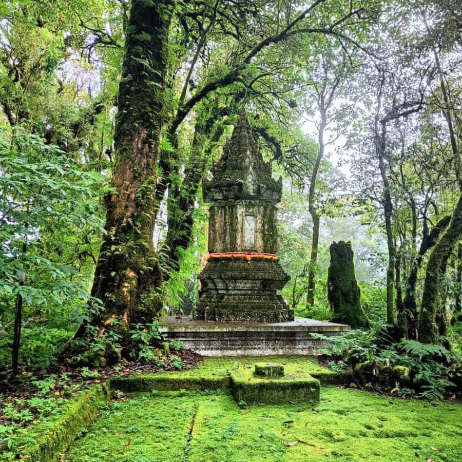 Private Tour Doi Inthanon, Trekking Kew Mae Pan Nature Trail - The King and Queen pagodas and their gardens