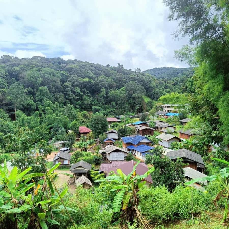 Private Tour Doi Inthanon, Trekking Kew Mae Pan Nature Trail - The Hmong market and Wachiratharn Waterfall