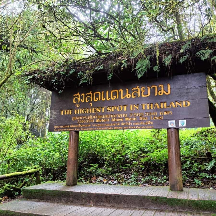 Private Tour Doi Inthanon, Trekking Kew Mae Pan Nature Trail - The long but worthwhile drive uphill